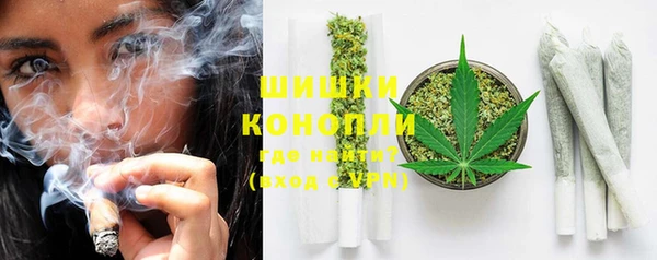 дживик Белокуриха