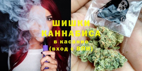 дживик Белокуриха