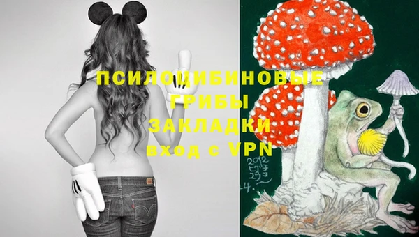 шишки Богданович