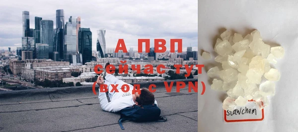 шишки Богданович