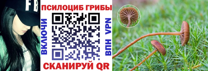 блэк спрут ТОР Волосово Галлюциногенные грибы прущие грибы